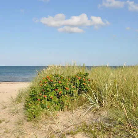 Nordlicht - Ankerplatz Dahme, Haeuschen Mit Duenenblick Und Relaxliegen *